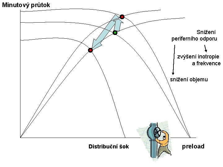 Minutový průtok Snížení periferního odporu zvýšení inotropie a frekvence snížení objemu Distribuční šok preload