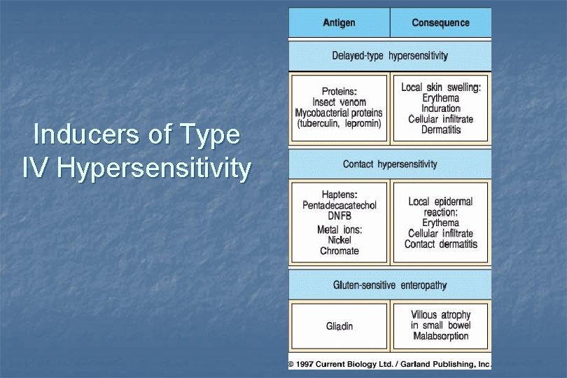 Inducers of Type IV Hypersensitivity 