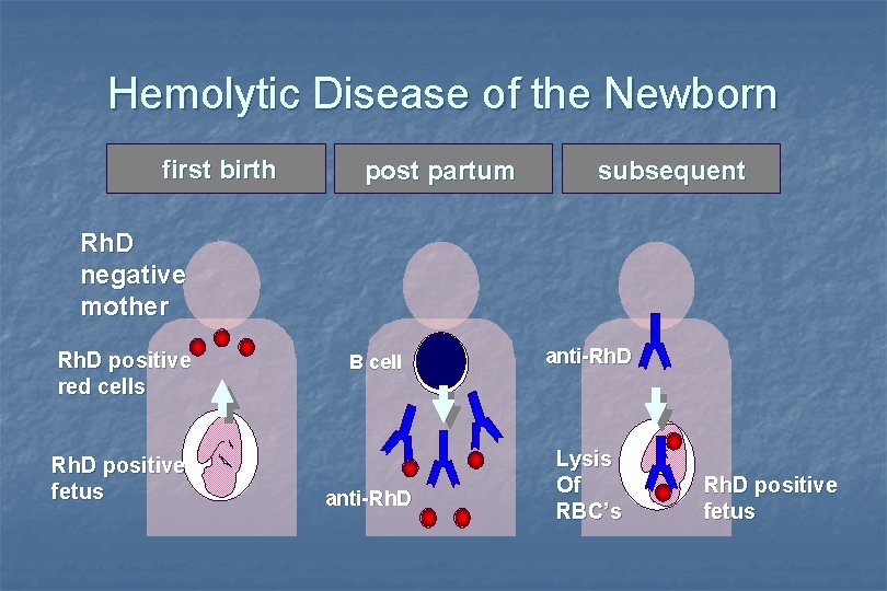 Hemolytic Disease of the Newborn first birth post partum subsequent Rh. D negative mother