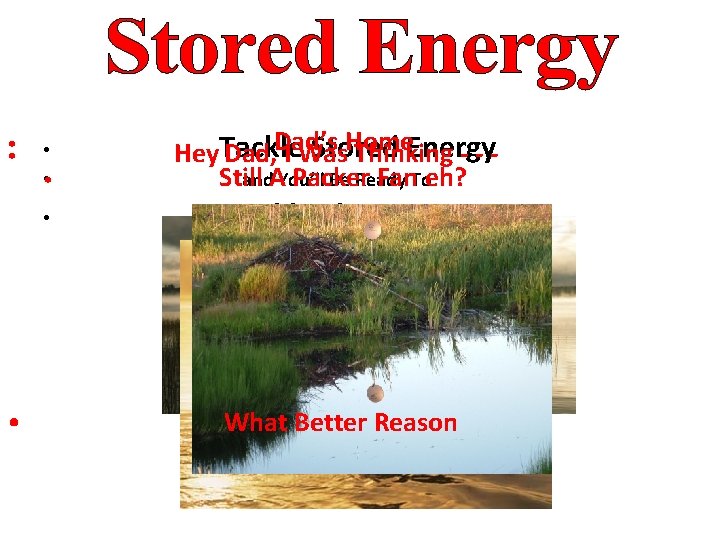  • • • Home Stored Energy Hey. Tackle Dad, Dad’s I Was Thinking