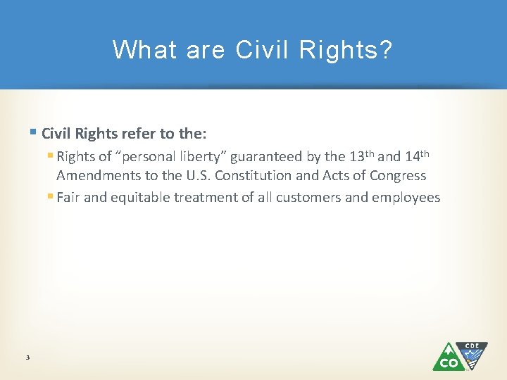 What are Civil Rights? § Civil Rights refer to the: § Rights of “personal