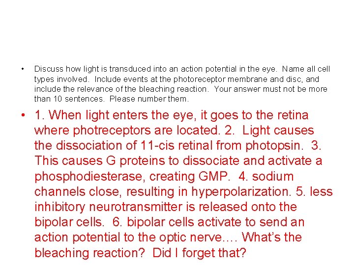  • Discuss how light is transduced into an action potential in the eye.