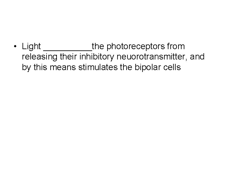  • Light _____the photoreceptors from releasing their inhibitory neuorotransmitter, and by this means
