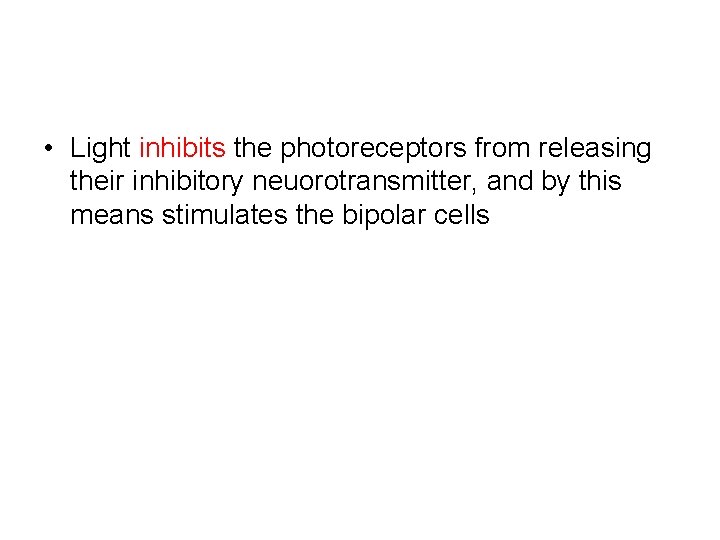  • Light inhibits the photoreceptors from releasing their inhibitory neuorotransmitter, and by this