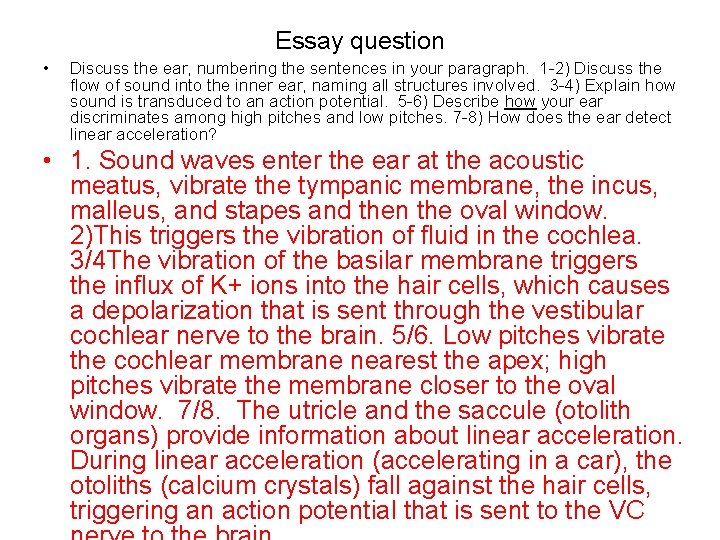 Essay question • Discuss the ear, numbering the sentences in your paragraph. 1 -2)