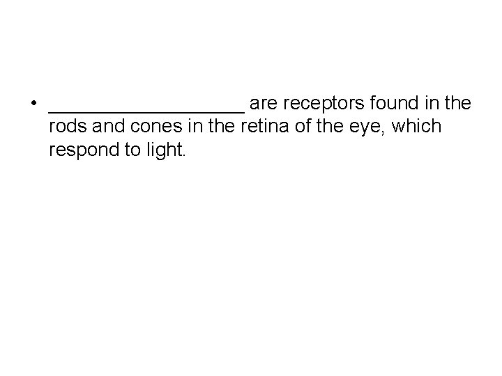  • _________ are receptors found in the rods and cones in the retina