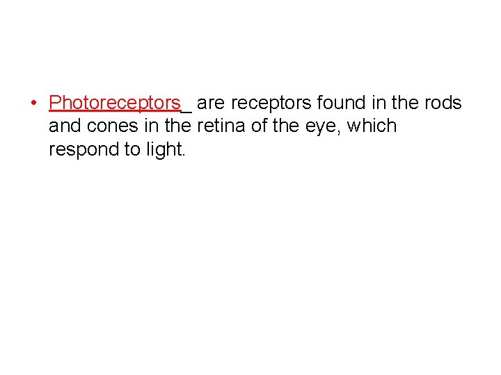  • Photoreceptors_ are receptors found in the rods and cones in the retina