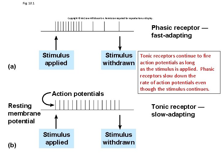 Fig. 10. 1 Copyright © Mc. Graw-Hill Education. Permission required for reproduction or display.
