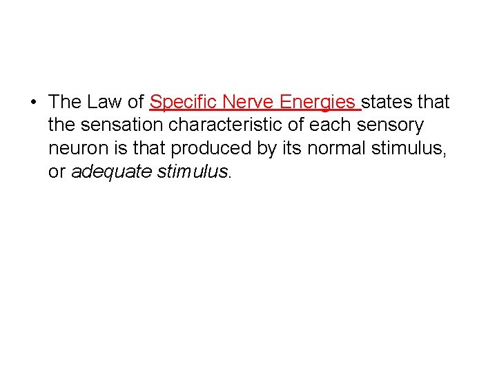  • The Law of Specific Nerve Energies states that the sensation characteristic of