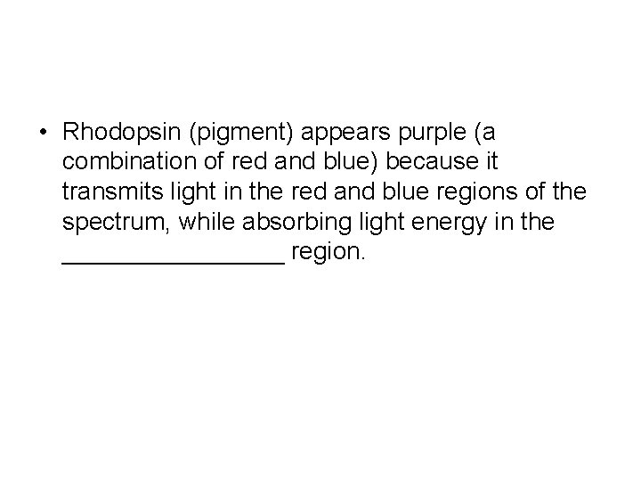  • Rhodopsin (pigment) appears purple (a combination of red and blue) because it