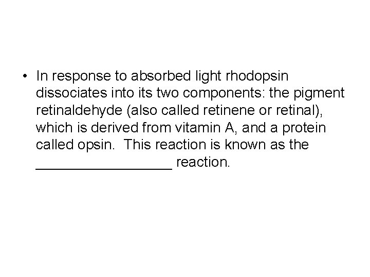  • In response to absorbed light rhodopsin dissociates into its two components: the