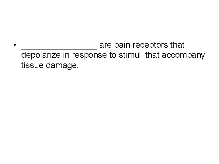  • ________ are pain receptors that depolarize in response to stimuli that accompany