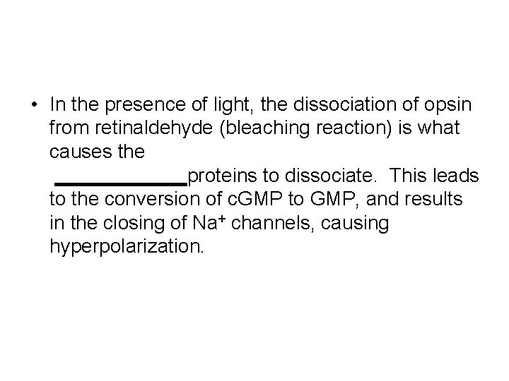  • In the presence of light, the dissociation of opsin from retinaldehyde (bleaching