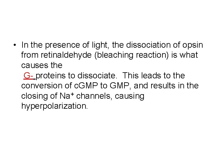  • In the presence of light, the dissociation of opsin from retinaldehyde (bleaching