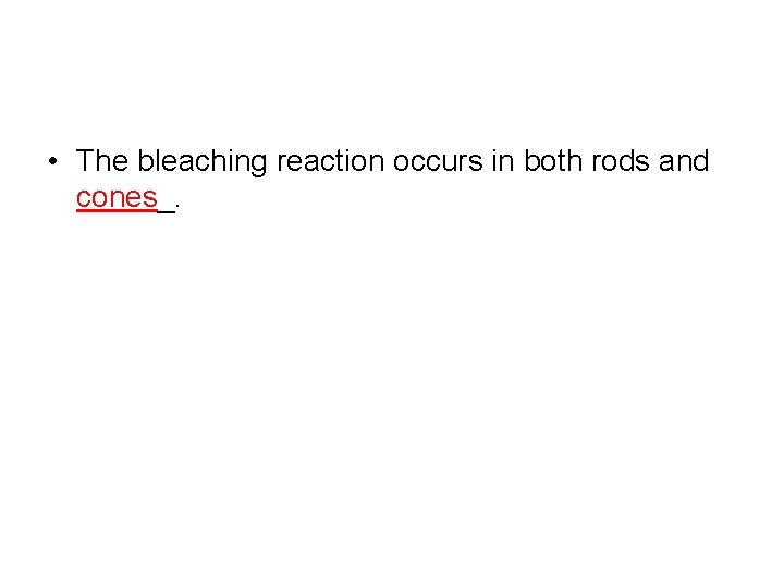  • The bleaching reaction occurs in both rods and cones_. 