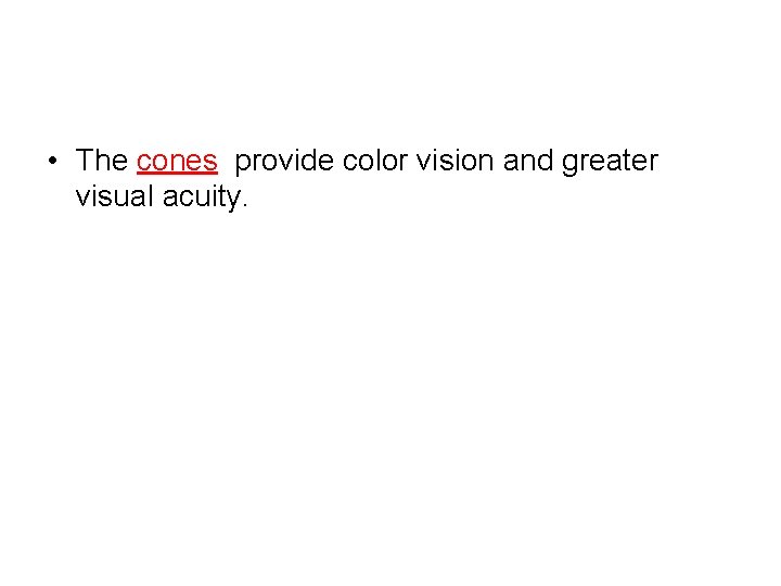  • The cones provide color vision and greater visual acuity. 
