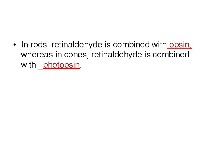  • In rods, retinaldehyde is combined with opsin, whereas in cones, retinaldehyde is