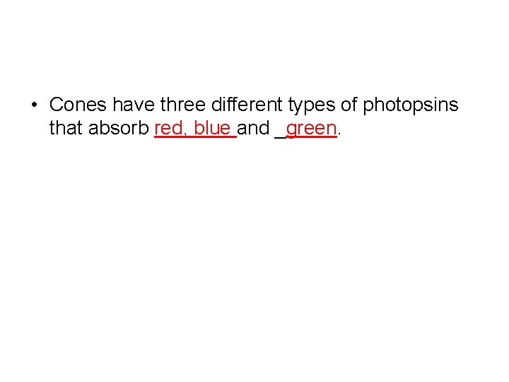  • Cones have three different types of photopsins that absorb red, blue and