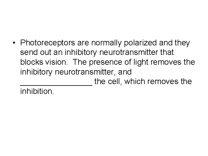  • Photoreceptors are normally polarized and they send out an inhibitory neurotransmitter that