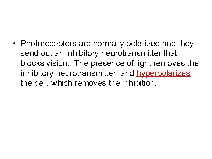  • Photoreceptors are normally polarized and they send out an inhibitory neurotransmitter that