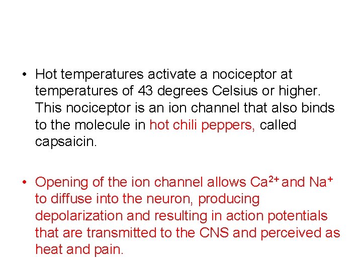  • Hot temperatures activate a nociceptor at temperatures of 43 degrees Celsius or