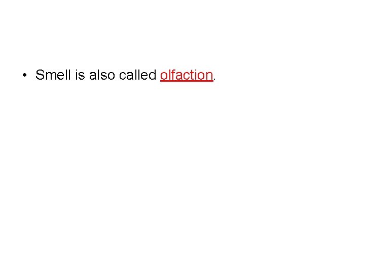  • Smell is also called olfaction. 