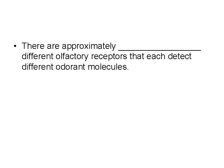  • There approximately _________ different olfactory receptors that each detect different odorant molecules.