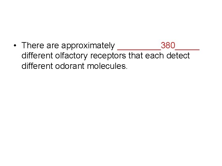  • There approximately _____380_____ different olfactory receptors that each detect different odorant molecules.
