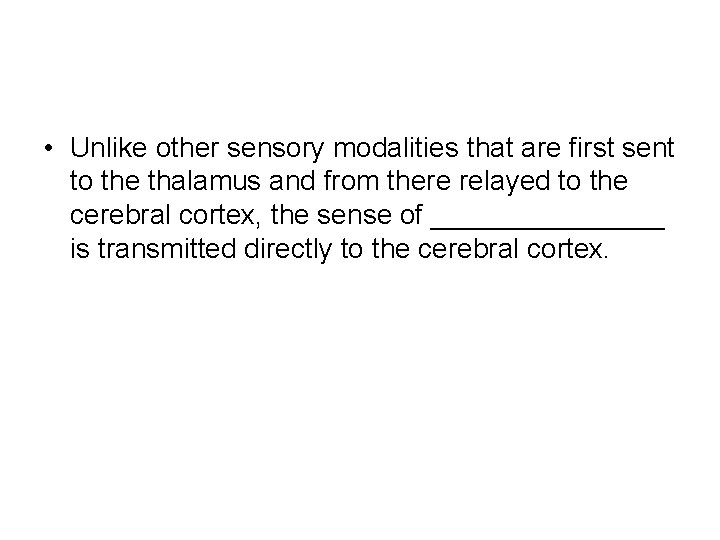  • Unlike other sensory modalities that are first sent to the thalamus and