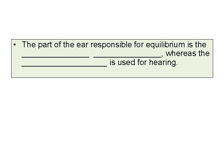  • The part of the ear responsible for equilibrium is the _______________, whereas