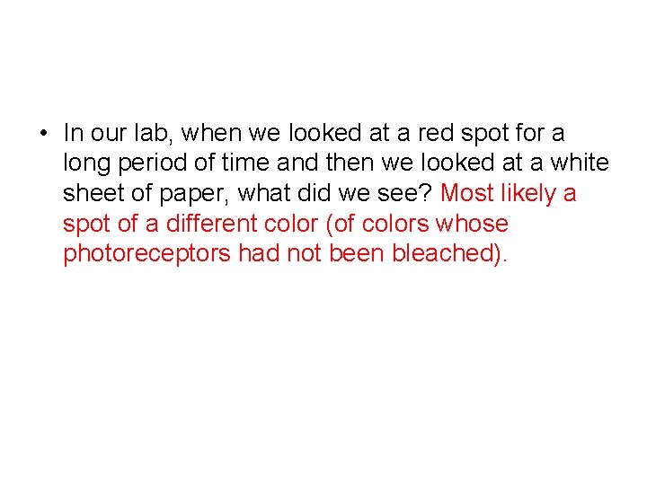  • In our lab, when we looked at a red spot for a