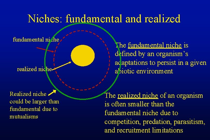 Niches: fundamental and realized fundamental niche realized niche Realized niche could be larger than