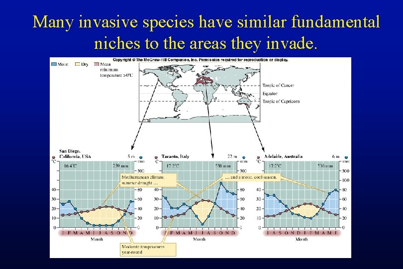 Many invasive species have similar fundamental niches to the areas they invade. 
