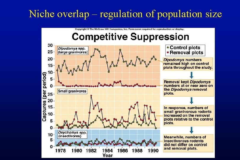 Niche overlap – regulation of population size 