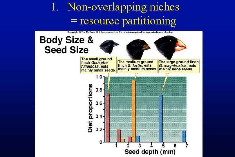 1. Non-overlapping niches = resource partitioning 