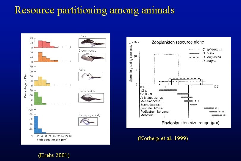 Resource partitioning among animals (Norberg et al. 1999) (Krebs 2001) 