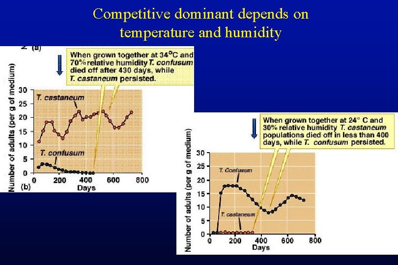 Competitive dominant depends on temperature and humidity 