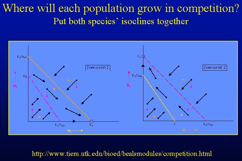 Where will each population grow in competition? Put both species’ isoclines together http: //www.