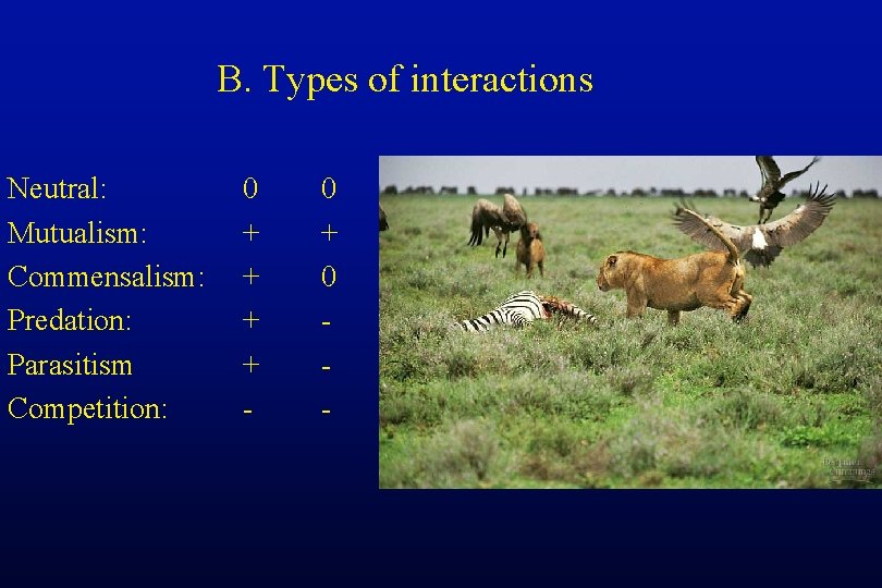B. Types of interactions Neutral: Mutualism: Commensalism: Predation: Parasitism Competition: 0 + + -