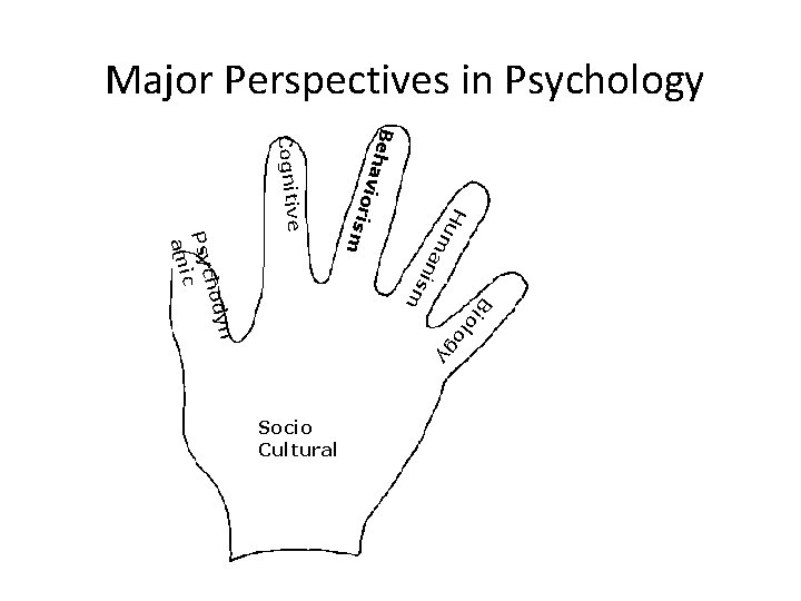 Major Perspectives in Psychology B Hu n o g y l Bi o m