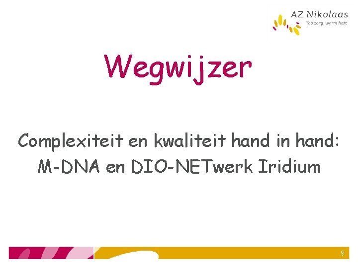 Wegwijzer Complexiteit en kwaliteit hand in hand: M-DNA en DIO-NETwerk Iridium 9 