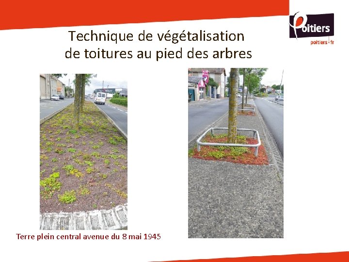 Technique de végétalisation de toitures au pied des arbres Terre plein central avenue du Technique de végétalisation de toitures au pied des arbres Terre plein central avenue du