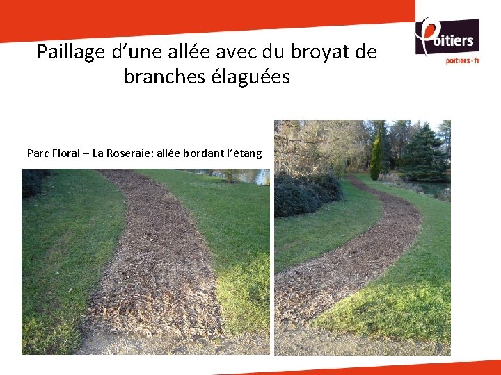 Paillage d’une allée avec du broyat de branches élaguées Parc Floral – La Roseraie: