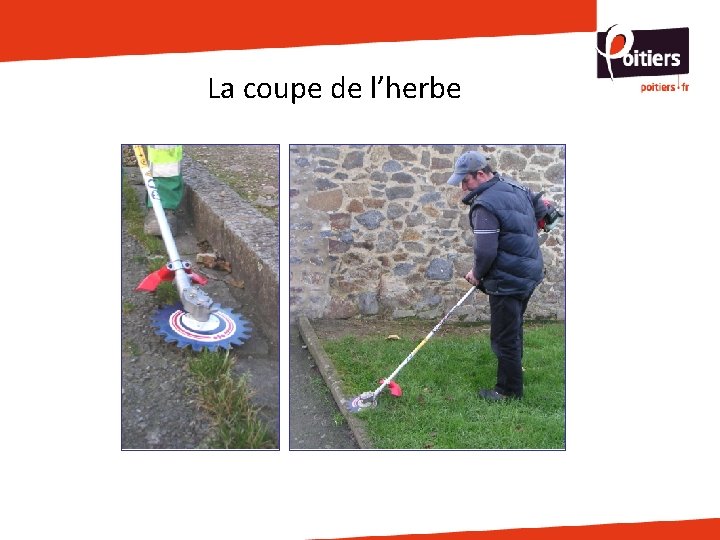 La coupe de l’herbe 