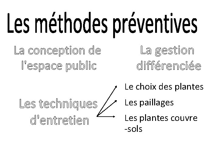 Le choix des plantes Les paillages Les plantes couvre-sols La lutte biologique 