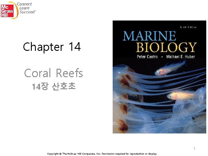 Chapter 14 Coral Reefs 14장 산호초 1 Copyright © The Mc. Graw-Hill Companies, Inc.