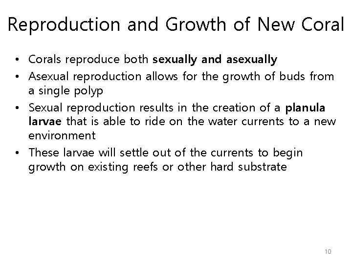 Reproduction and Growth of New Coral • Corals reproduce both sexually and asexually •