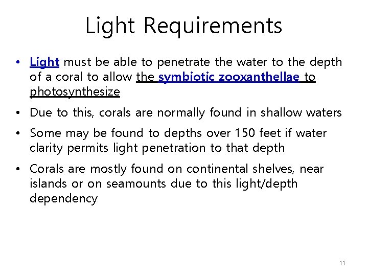 Light Requirements • Light must be able to penetrate the water to the depth