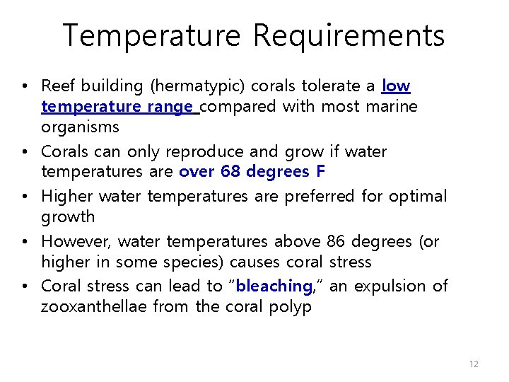 Temperature Requirements • Reef building (hermatypic) corals tolerate a low temperature range compared with