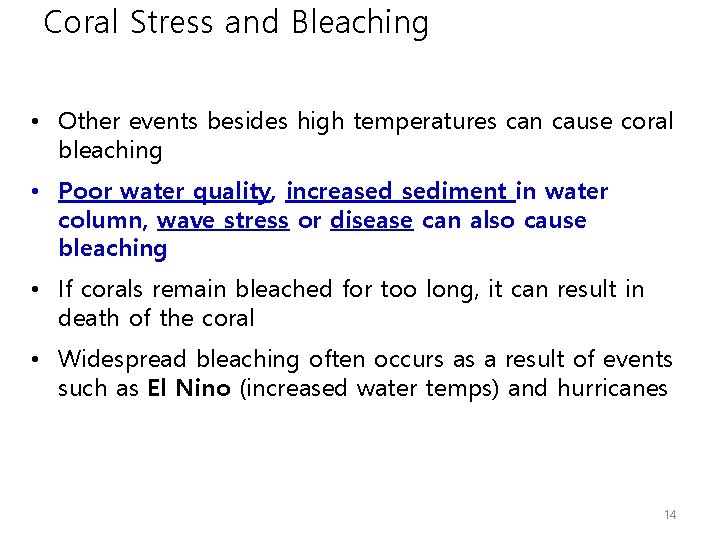 Coral Stress and Bleaching • Other events besides high temperatures can cause coral bleaching